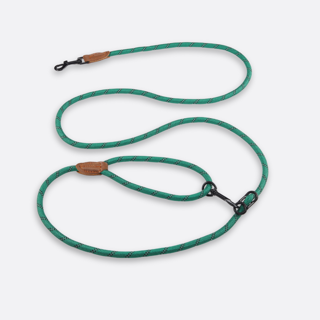 Laisse mains libres - 🕺🐾🤎