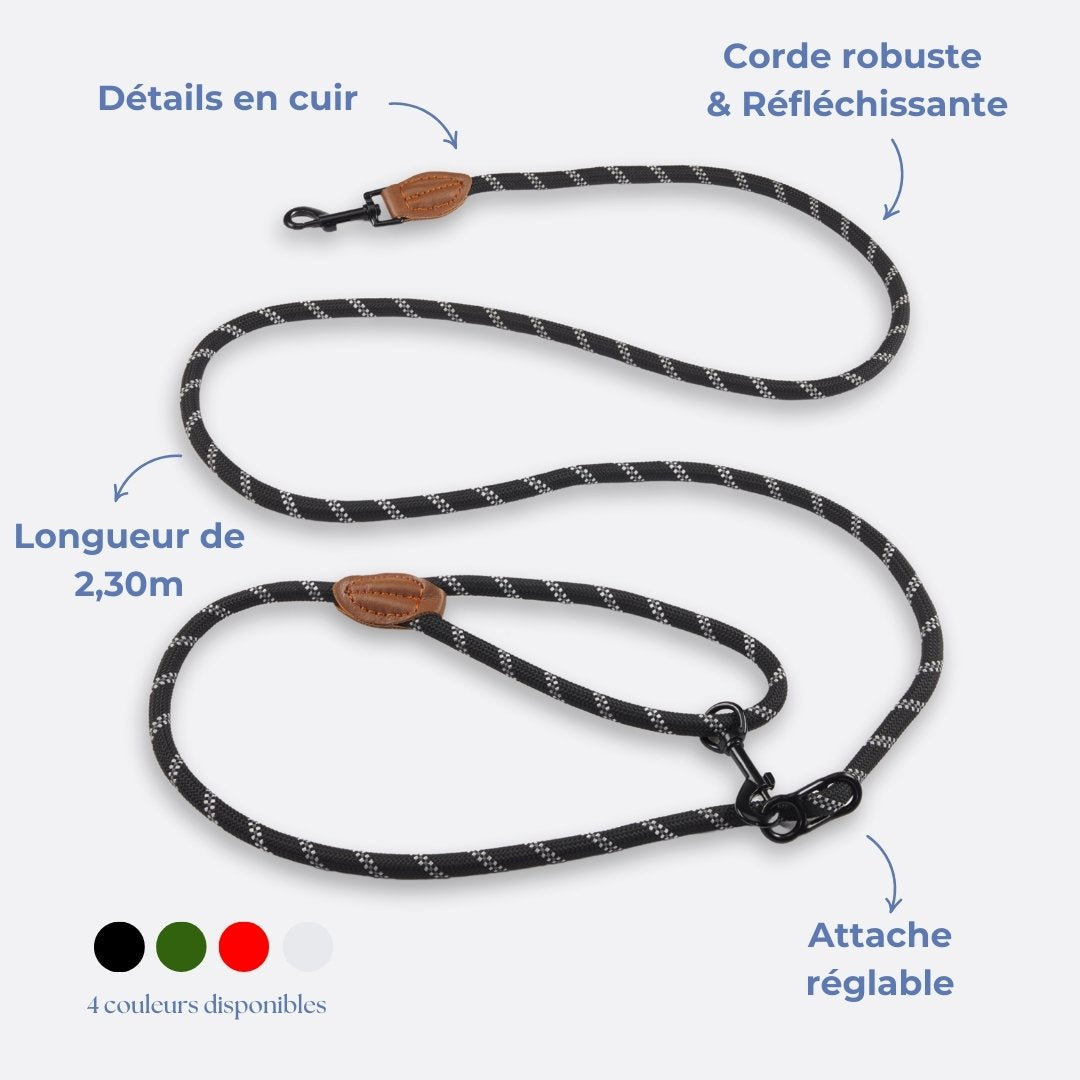 Laisse mains libres - 🕺🐾🤎