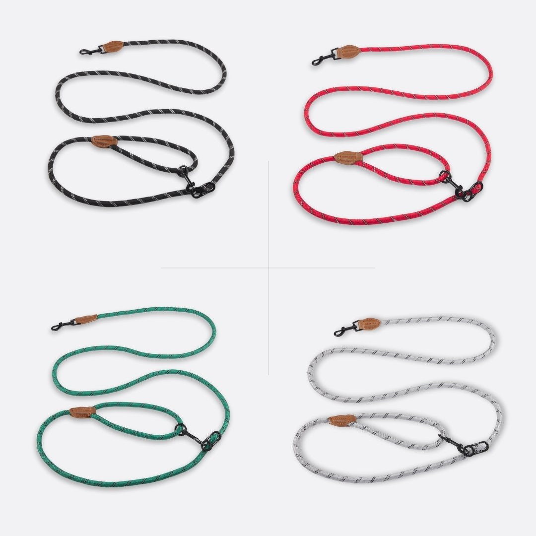 Laisse mains libres - 🕺🐾🤎