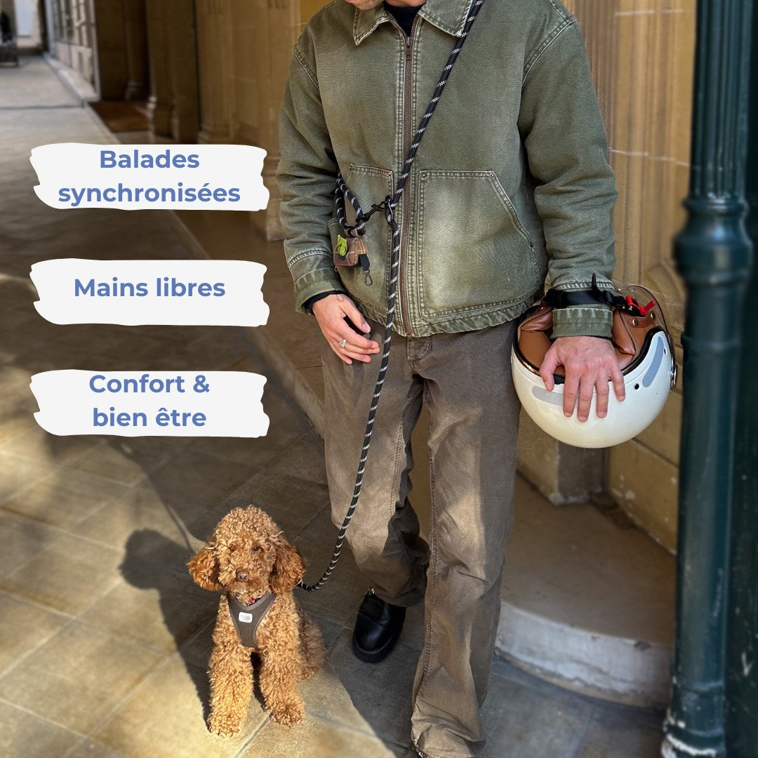 Laisse mains libres - 🕺🐾🤎