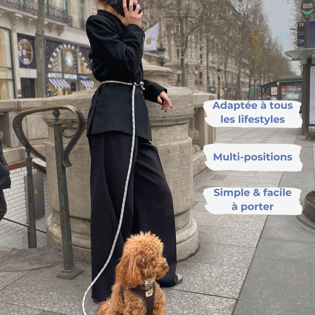 Laisse mains libres - 🕺🐾🤎